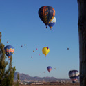 Hot air balloons near Mesilla