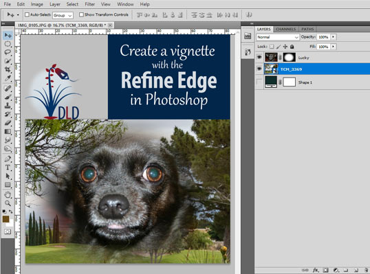 Photoshop's Refine Edge example by Desert Life Design