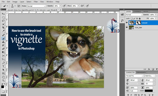 Desert Life Design vignette