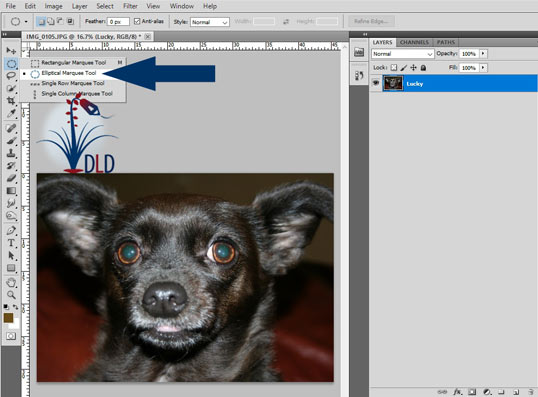 Use the Elliptical Marquee Tool