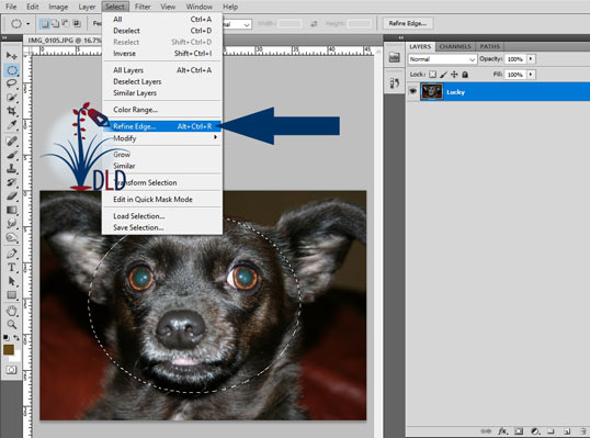 Menu Bar > Select > Refine Edge